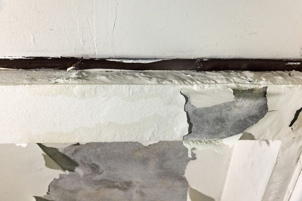 Cost of Porch Leak Repair in Champaign
