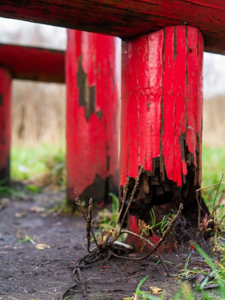 Cost of Rotten Column Replacement in Champaign